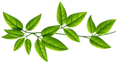 Green Leaves Png Images .